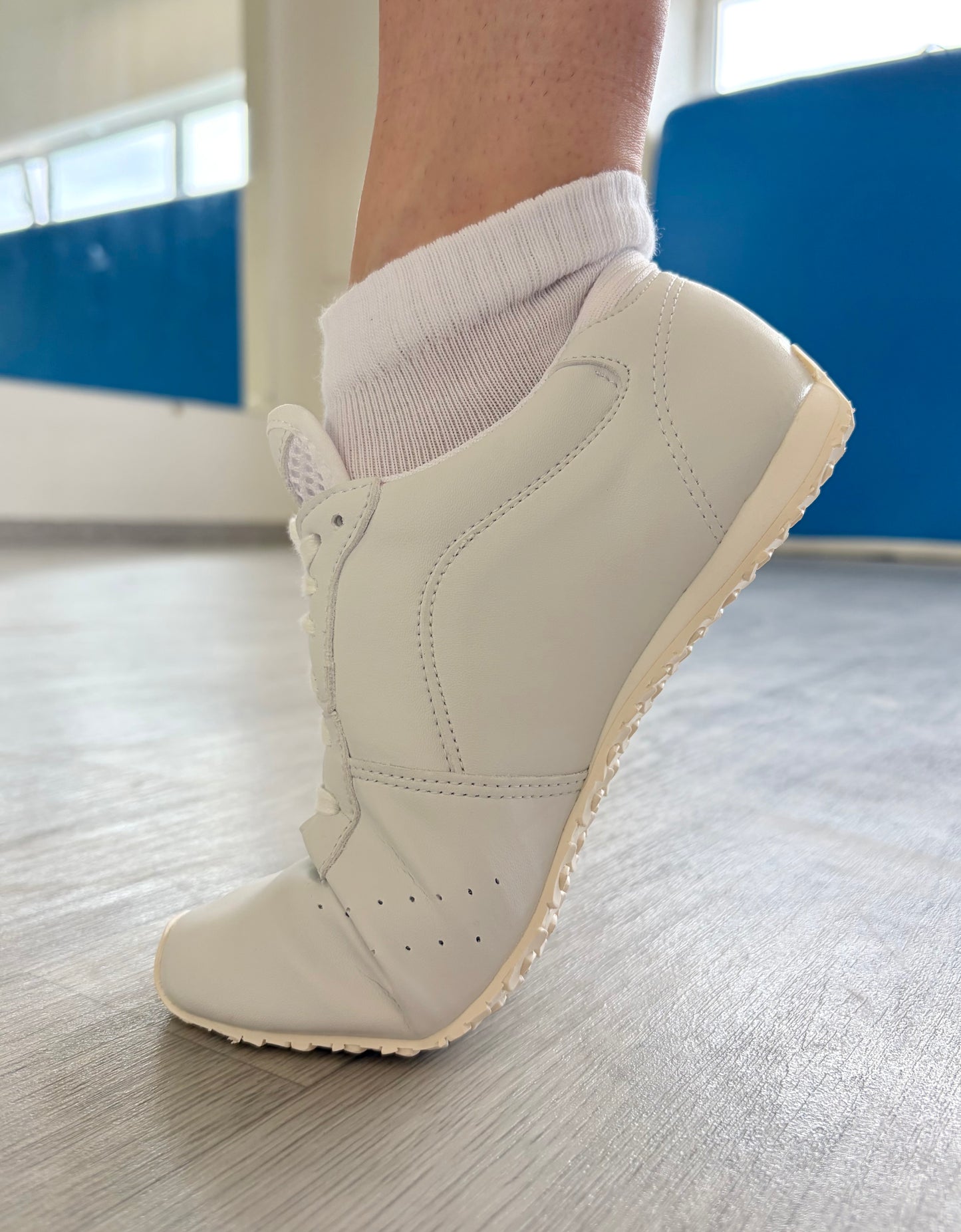 Kojinės (trumpesnės, 2 poros)